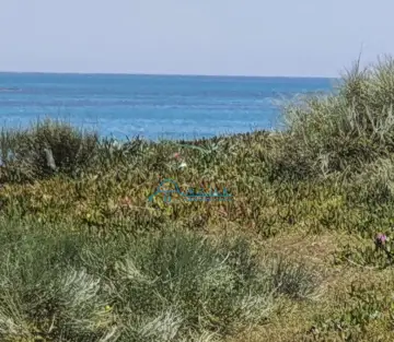 Terrain jinêne
